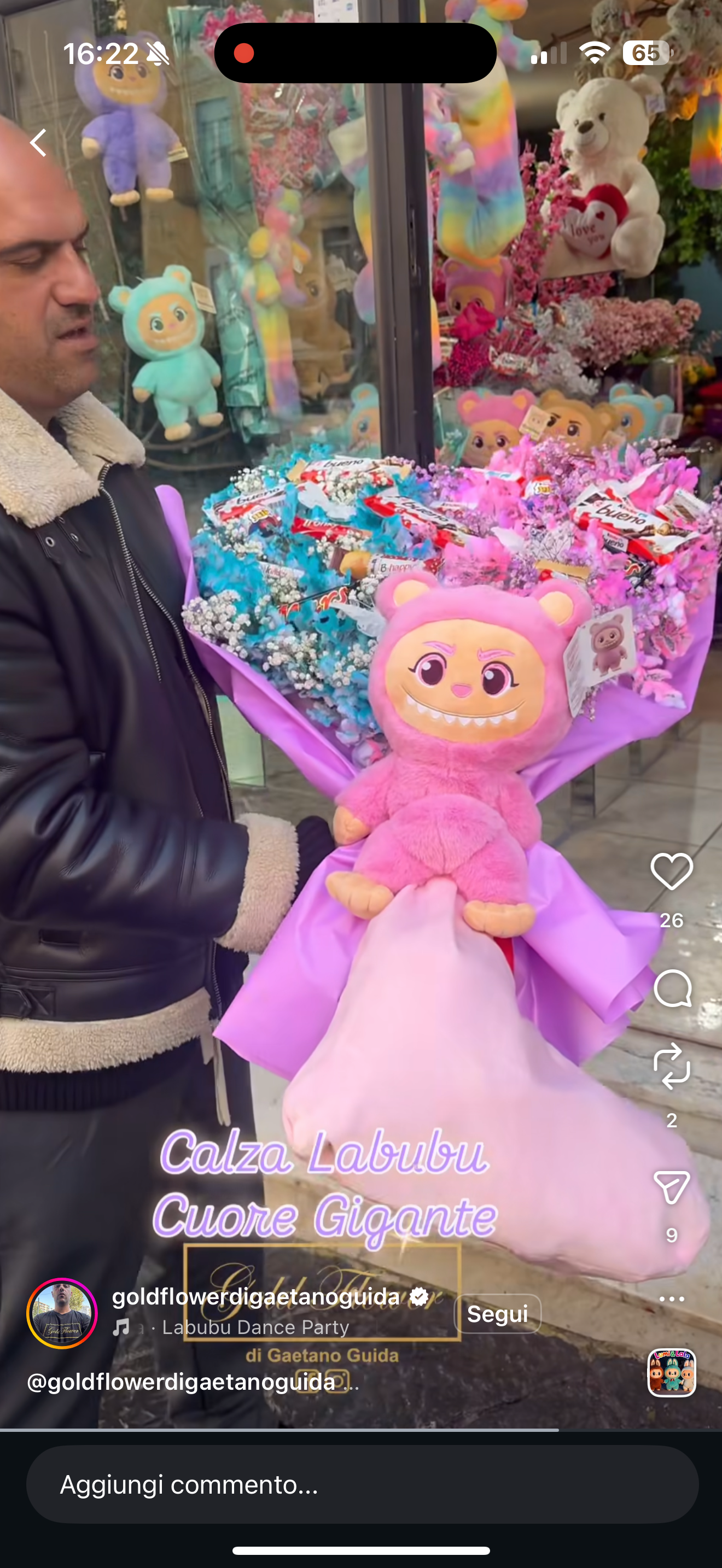 Calza Labubu Cuore Gigante